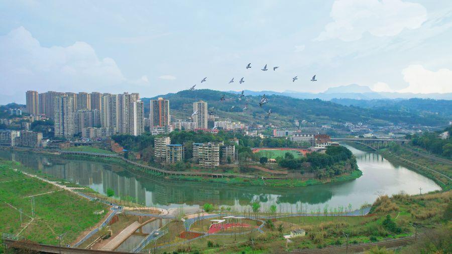 图二